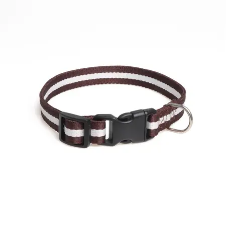 Pet Collar – Collar 2.0 × 40CM detail