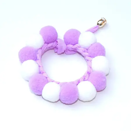 Pet Collar detail