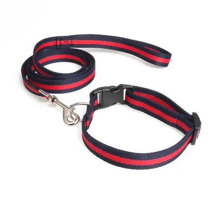 Pet Collar – Collar 2.0 × 40CM detail