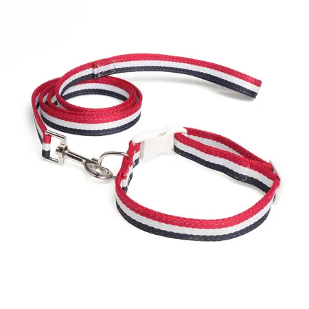 Pet Collar – Collar 2.0 × 40CM detail