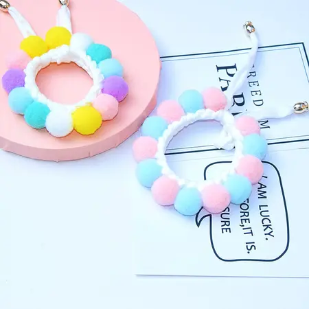 Pet Collar detail