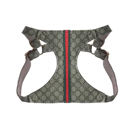Pet Collar detail