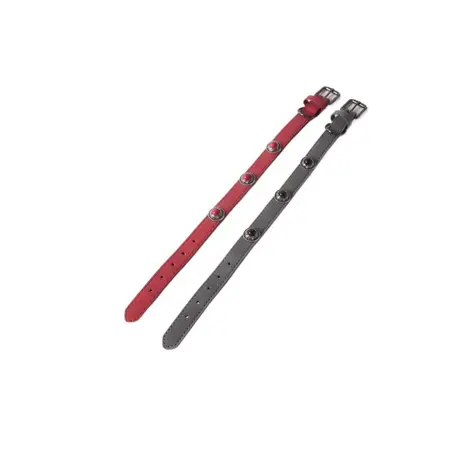 Pet Collar – 1.5 × 35 cm detail