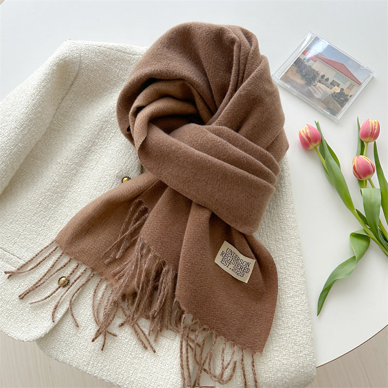 Autumn and winter new double-sided imitation cashmere scarf women's solid color long shawl scarf